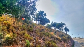 Bouwgrond Almayate Bajo € 1.150.000,-