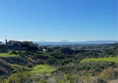 268651.jpg
