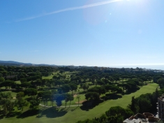 289521.jpg