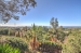 AWVADP672_23743_V0_44A1.jpg