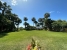 BCEABP253_8890_V0_A85F.jpg