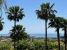 BCEABP253_8917_V0_CD96.jpg