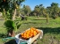 ABMAIP3555_93220_V0_04D9.jpg