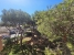 AMSACP612_18331_V0_8A87.jpg