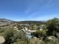 37-1d70d218e897435ff17cdff8e99bb5bf.jpg