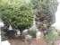 13-5fd73dea700db77384c091ca9818b1a9.jpg
