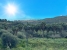 7-aa4cc561180b369757c0bb4af9886cd3.jpg