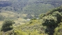 1-7980e48d732b6fc85c14b43b94d2aa54.jpg