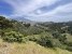 4-c23c0f86247804fa50226aecd8b0b2c8.jpg