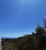 4-c23c0f86247804fa50226aecd8b0b2c8.jpg