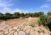 20-d1f7658cbe4ba6cd8666fec30fba80ad.jpg