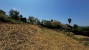 3-e898b2bb2a2fdfd06d2c39894dce8316.jpg