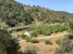 7-aa4cc561180b369757c0bb4af9886cd3.jpg