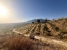 1-7980e48d732b6fc85c14b43b94d2aa54.jpg