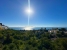 1-7980e48d732b6fc85c14b43b94d2aa54.jpg