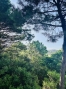 4-c23c0f86247804fa50226aecd8b0b2c8.jpg