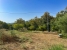 20-d1f7658cbe4ba6cd8666fec30fba80ad.jpg
