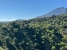 32-e7f90ea5feef5e01d64d74d6b6d8a834.jpg