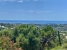 22-bcf8e6250e0bab365f900a8ac31ac040.jpg